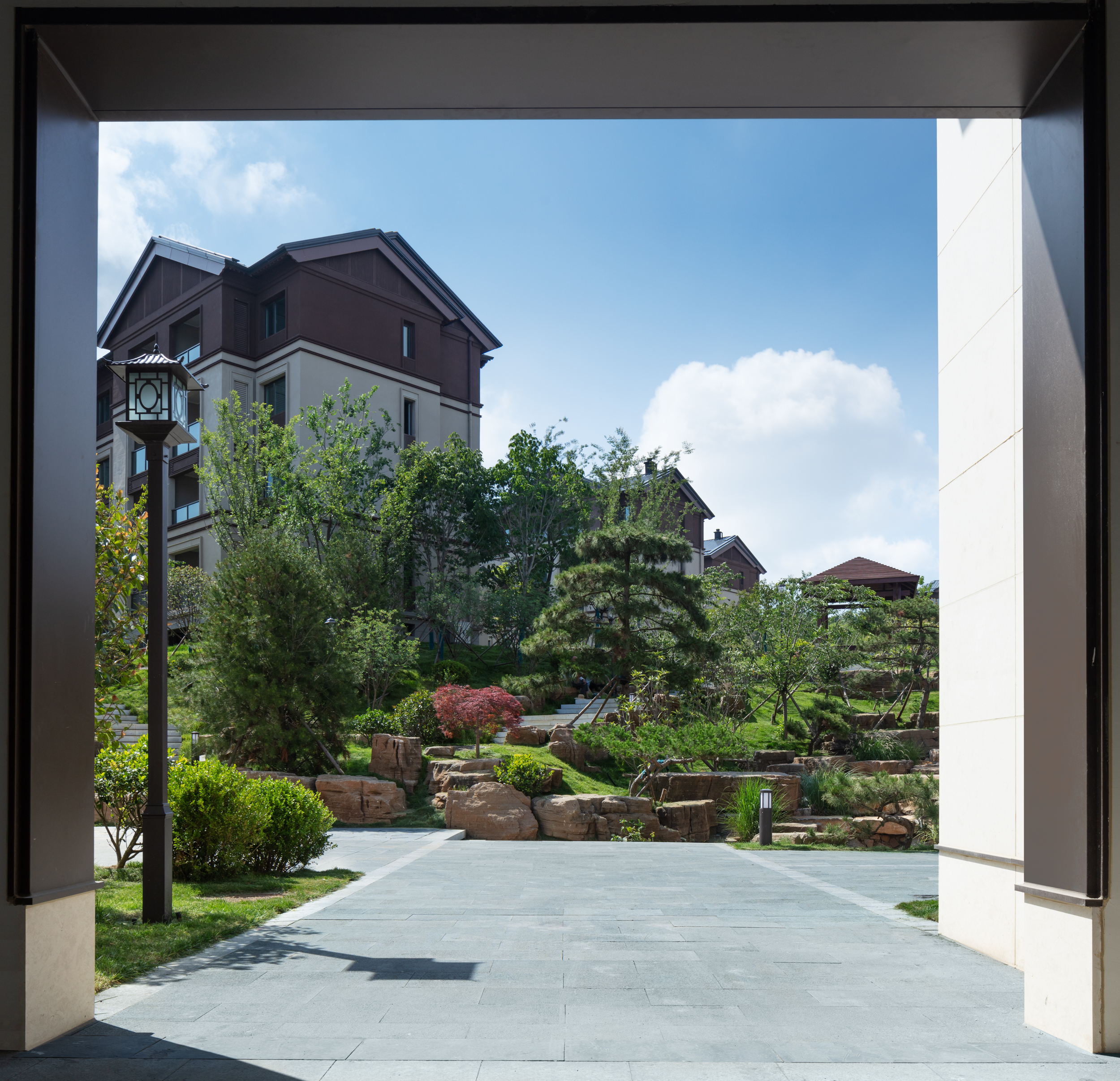 _MSR1060-編輯.jpg _MSR1060-編輯.jpg